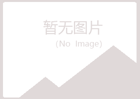 河池如柏保险有限公司